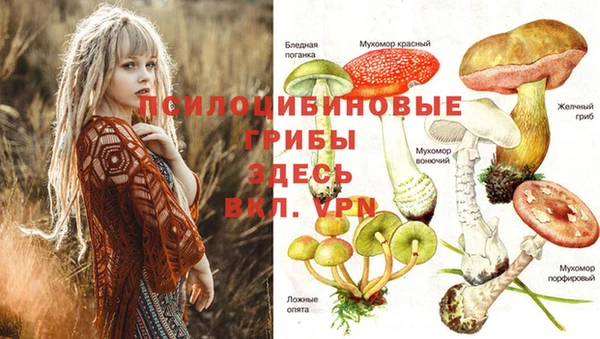прущая мука Алзамай